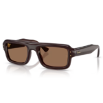 Occhiali Ray-Ban RB4954 Flacko Puffer unisex marroni con montatura marrone scuro trasparente e lenti marroni